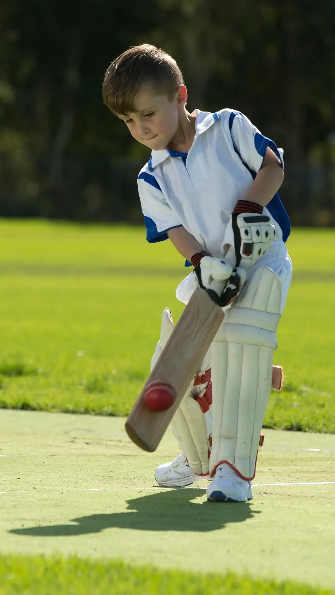 Cricket Field